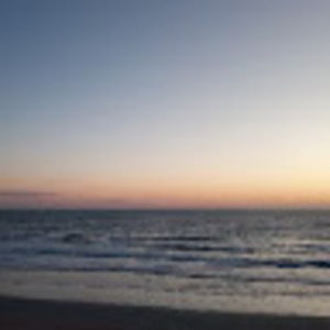 Meet your Posher, Shay